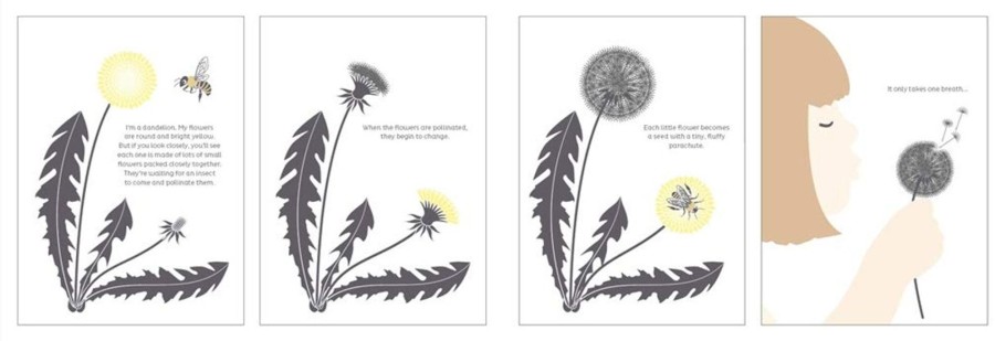 Read Mellow | From Tiny Seeds: The Amazing Story Of How Plants Travel | Mellow