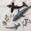 Play Collecta | Collecta Sea Creatures Set - 7Pcs | Mellow