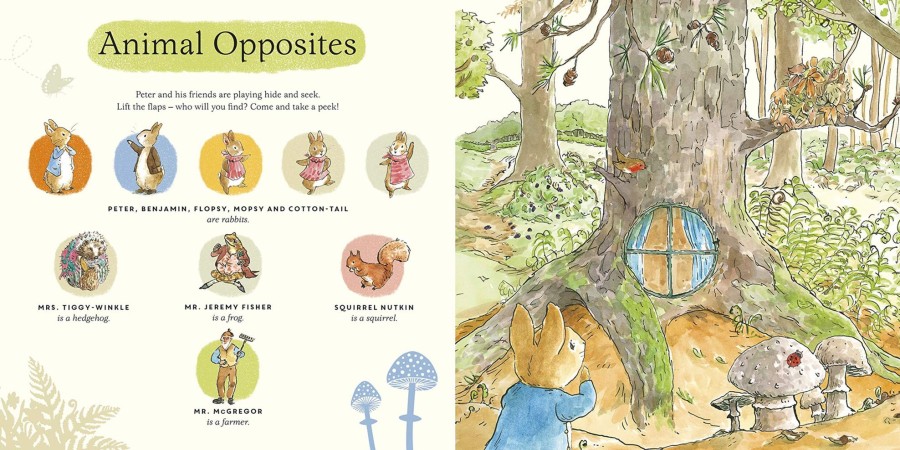 Read Beatrix Potter | What Can You See Peter? | Mellow