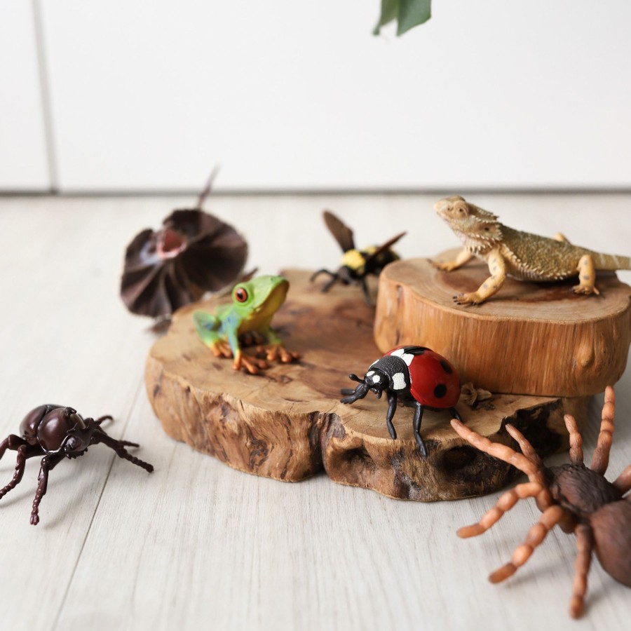 Play Collecta | Collecta Insects, Arachnids And Amphibians Set - 7Pcs | Mellow