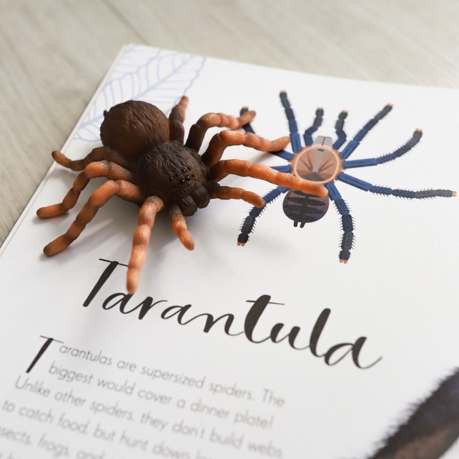 Play Collecta | Collecta Insects, Arachnids And Amphibians Set - 7Pcs | Mellow