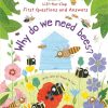 Read Usborne | First Questions And Answers: Why Do We Need Bees? | Mellow