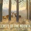 Read Mellow | Secrets Of The Mountain | Mellow